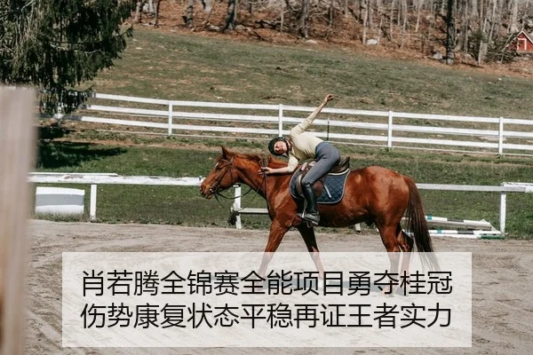 肖若腾全锦赛全能项目勇夺桂冠 伤势康复状态平稳再证王者实力